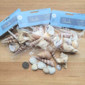 Shell bags